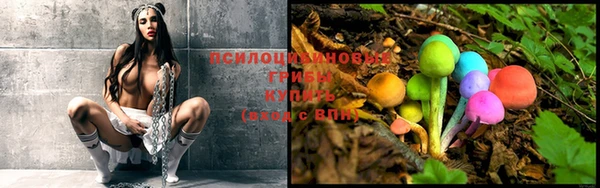 круглые Алексин