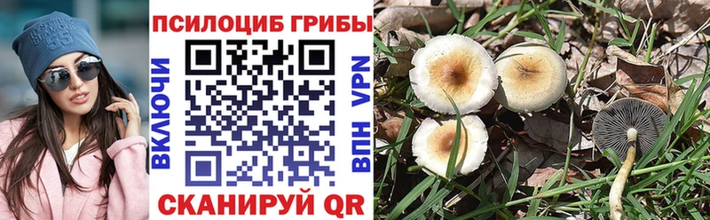 Псилоцибиновые грибы Psilocybe  Оса 